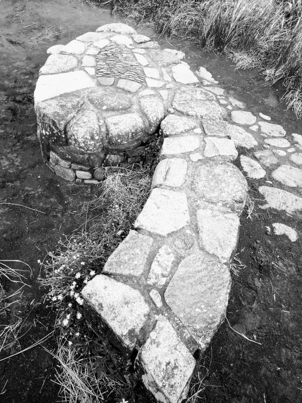 Koru stone bench