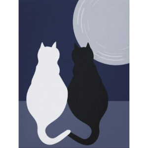 Black and white cats sitting companionably under the moonlight