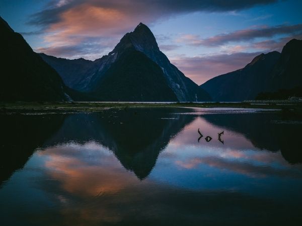 Twilight on a rugged coastline at Milford Sound in New Zealand 