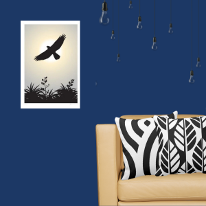 Kahu a New Zealand hawk photography is accented with black and white cushions