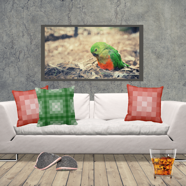 A rustic surrounding frames the white couch with green and orange pillows decor. The living-room wall shows a grey roughly plastered surface, while the flooring consists of wooden planks. A wall hanging portraits a green and orange bird completes the rustic space with a modern touch.