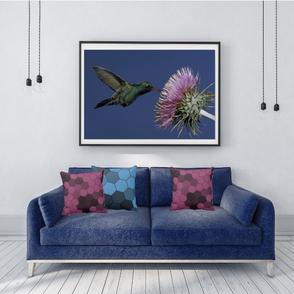 Hummingbird photography poster and pillows with hexagon pattern in blue and purple