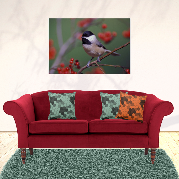 Carolina Chickadee photography poster and pillows with hexagon pattern in grey and orange