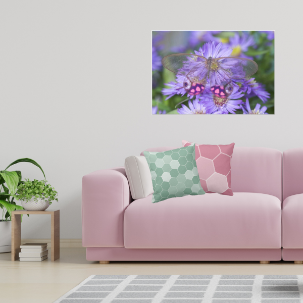 Butterfly photography poster and pillows with hexagon pattern in grey and pink