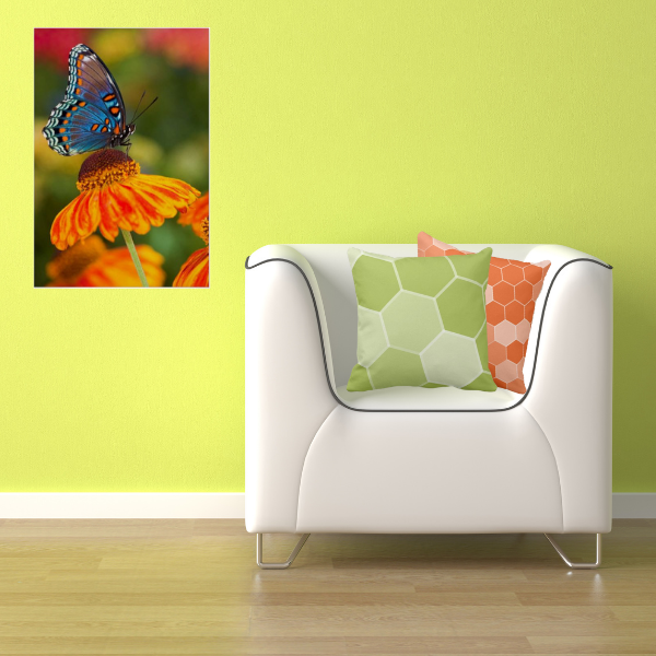 Red spotted butterfly photography poster and pillows with hexagon pattern in orange and green