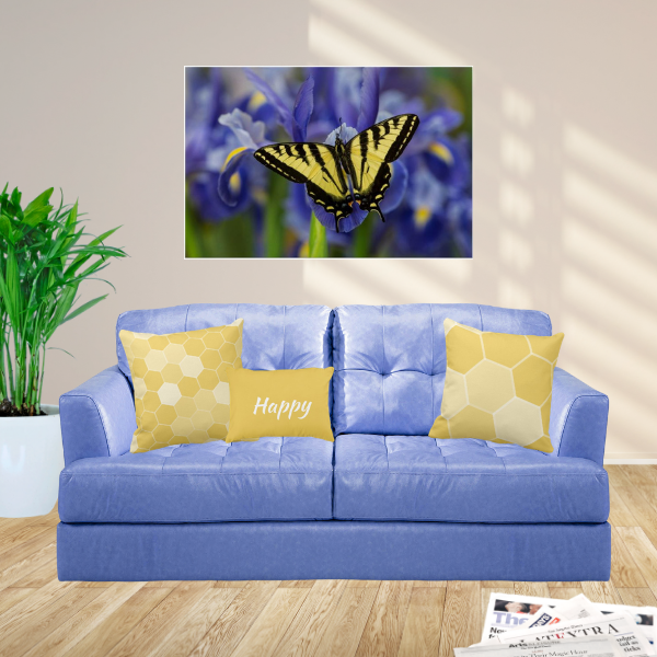 Western Tiger Swallowtail Butterfly photography poster and pillows with hexagon pattern in yellow