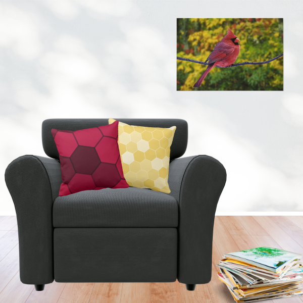 Northern Cardinal photography poster and pillows with hexagon pattern in yellow and red