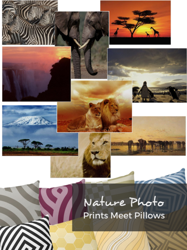 African Nature Photography Prints