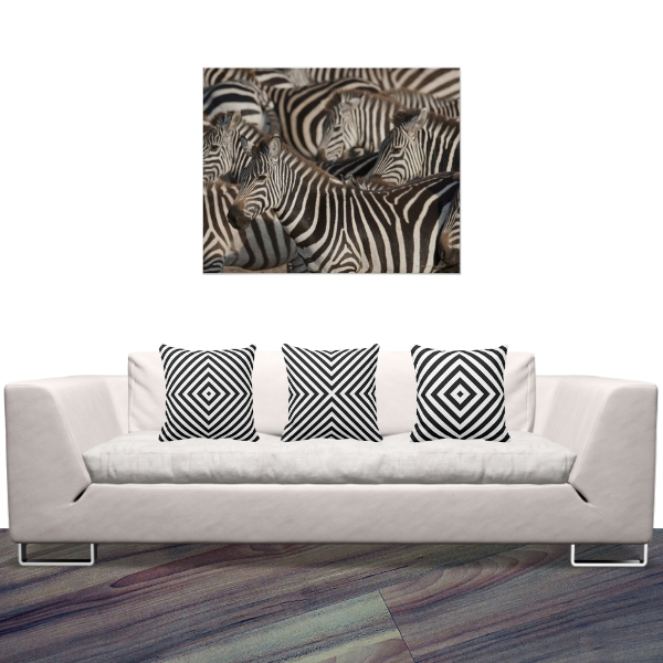 Zebras Photography And Black And White Pillows With Box Pattern