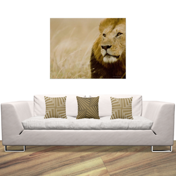 Lion In High Grass With Brown Pillows With Angular Pattern