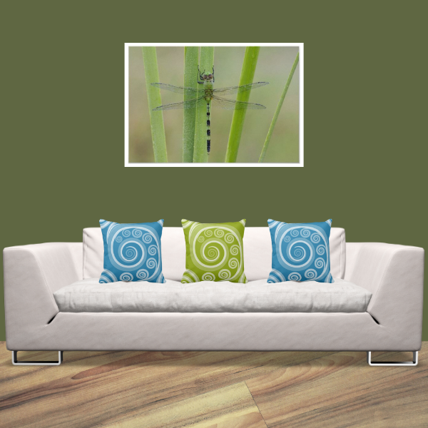 Dragonfly Print Wall Decor With Curl Patterned Pillows