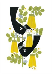 Two tui (Kowhai) Print by Holly Roach, Two Song Birds of the Tuis sitting in a yellow blossoming black tui birds