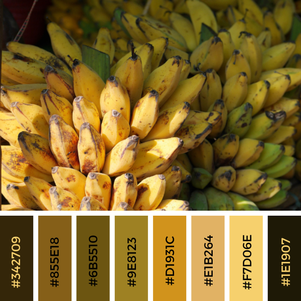 bananas color palette collage in in a black and yellow color scheme