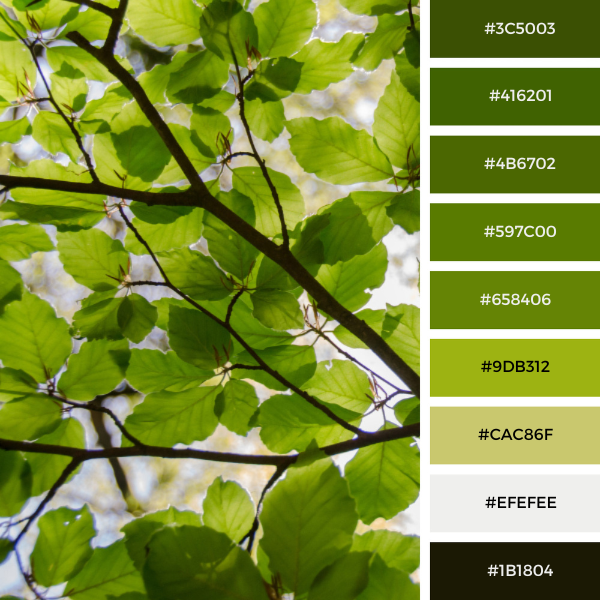 Airy foliage warm green color palette collage