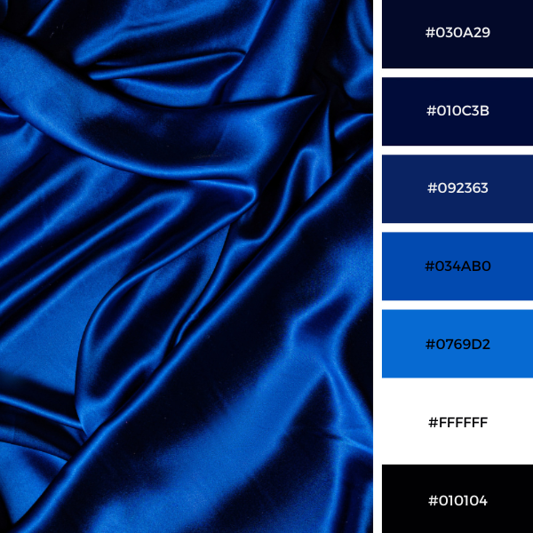 Fabric Folds Collage Palette In Black, White, And Blue with #Hex Codes