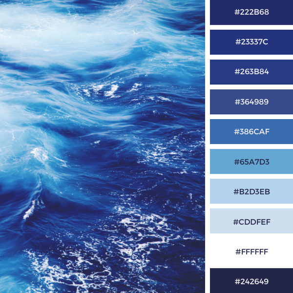 Blue Ocean Color Palette In Black, White, And Blue with #Hex Codes