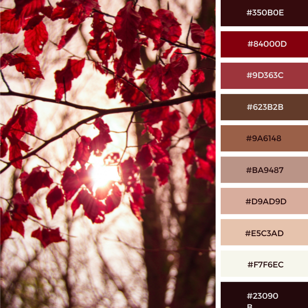 Autumn Leaves in Black and Red Color Palette With #Hex Codes As Collage