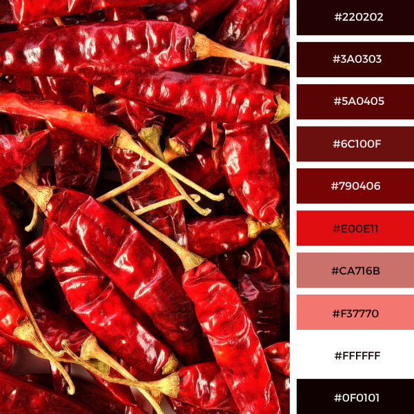 Hot Chilli in Red Color Palette With #Hex Codes