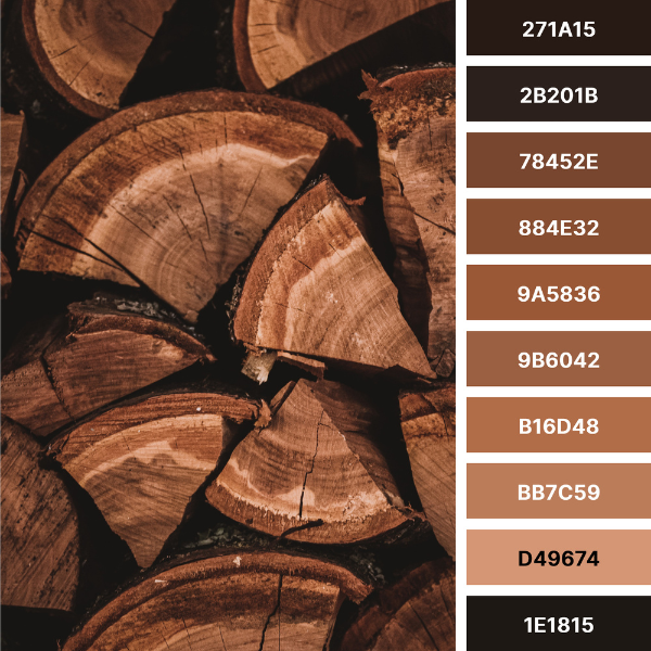 firewood, log pile color palette collage in black and brown