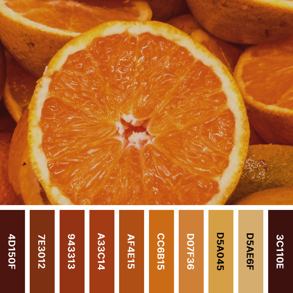 kitchen-inspired orange color palette showing slices of oranges