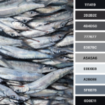 A Gray Color Palette to Transform Your Home • KBM D3signs