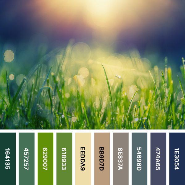 Sunlit Grass, color palette collage in blue and green