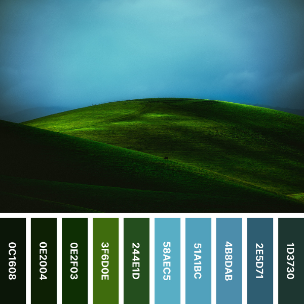 Green Gently Rolling Grassy Hills Under an Overcast Blue Sky Color Palette Collage