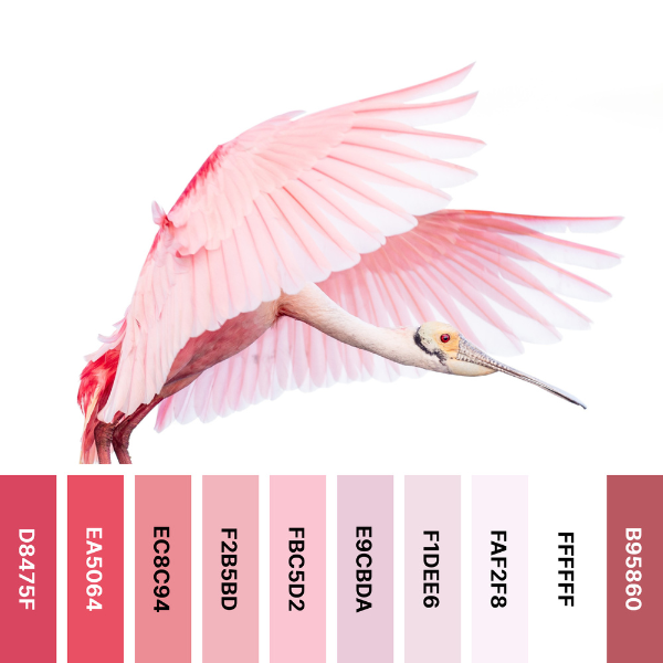 Flying Flamingo Color Palette in Pink and White with #Hex Codes