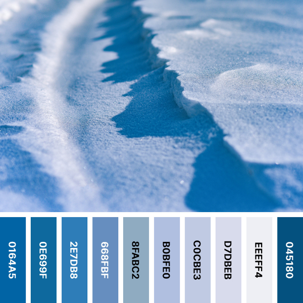 Tyre Track in Snow Color Palette Collage With #Hex Codes