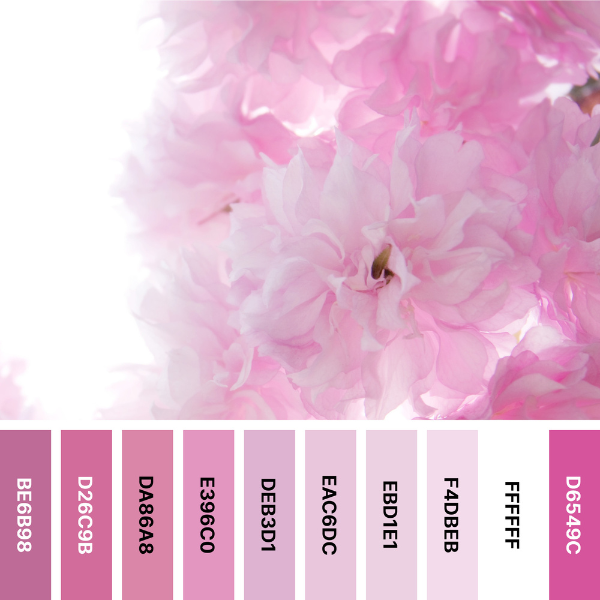 Pink Spring Blooms Color Palette Collage with #Hex Codes