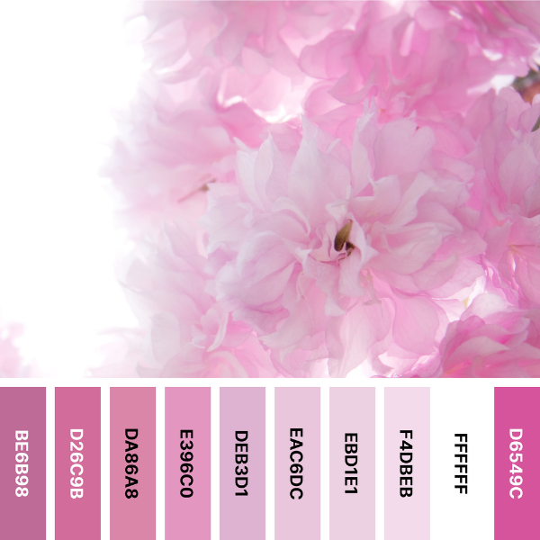 pink white Color Palette