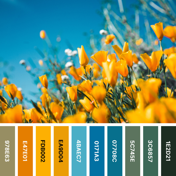 Summer Flower Color Palette Collage