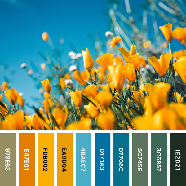 Blue yellow deals color palette