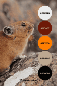 The colors, Khaki #BDA68F, Black #000000, Orange #FF7E00, Barn red #6F1A07, Anti-flash white #EBEBEB, speaks to stability and earthy reliability, ideal for brands wanting to evoke strength and grounded service.