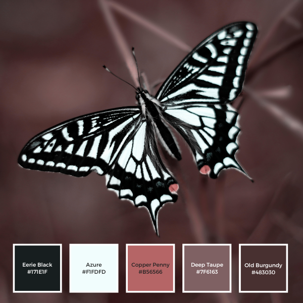 Asian Swallowtail Color Palette