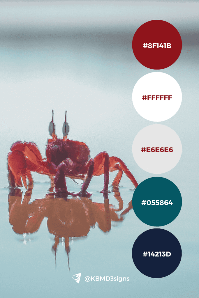 Photo of deep red reflection pools on white water background; color palette #8f141b, #ffffff, #e6e6e6, #055864, #14213d for season-influenced branding.