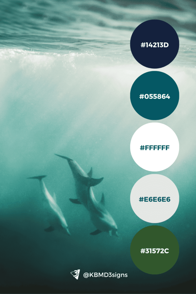 Underwater shot of three dolphins swimming together; palette #31572c, #ffffff, #e6e6e6, #055864, #14213d evoking harmony and natural flow.