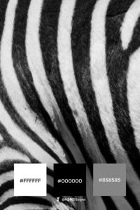 Nature Inspired Black & White Color Palette - Zebra - Black, White, Gray Accents