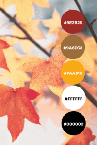 autumn leaves sunset- color palette idea