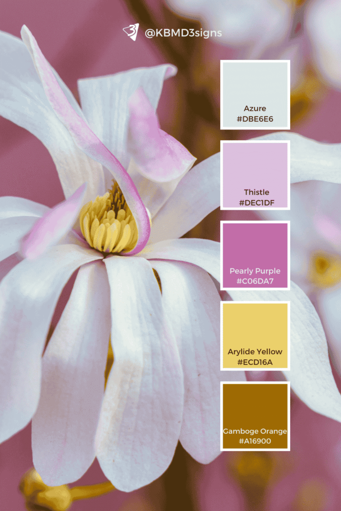 Spring Color Palette Idea