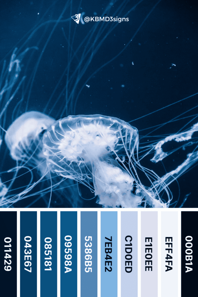 Undersea Jellyfish Nature Inspired Blue and White Color Collage with #Hex codes