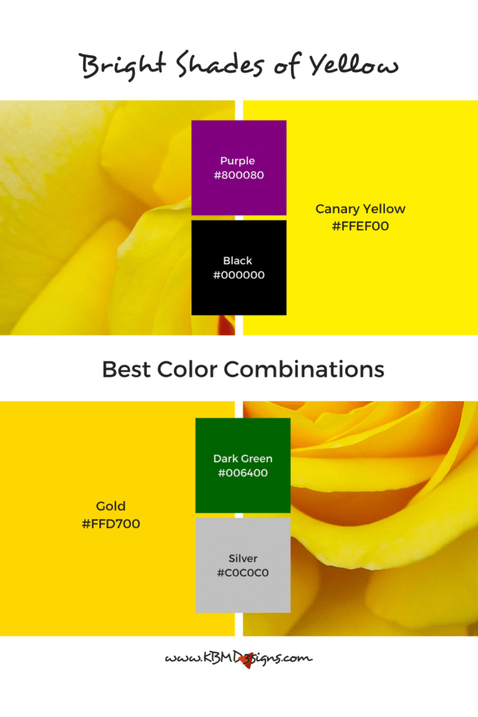 Bright Shades of Yellow Color Palette and Best Color Combinations: Canary Yellow #FFEF00 & Purple #800080, Black #000000; Gold #FFD700 & Dark Green #006400, Silver #C0C0C0
