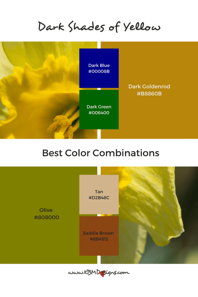 Dark Shades of Yellow Color Palette and Best Color Combinations: Dark Goldenrod #B8860B & Dark Blue #00008B, Dark Green #006400; Olive #808000 & Tan #D2B48C, Saddle Brown #8B4513