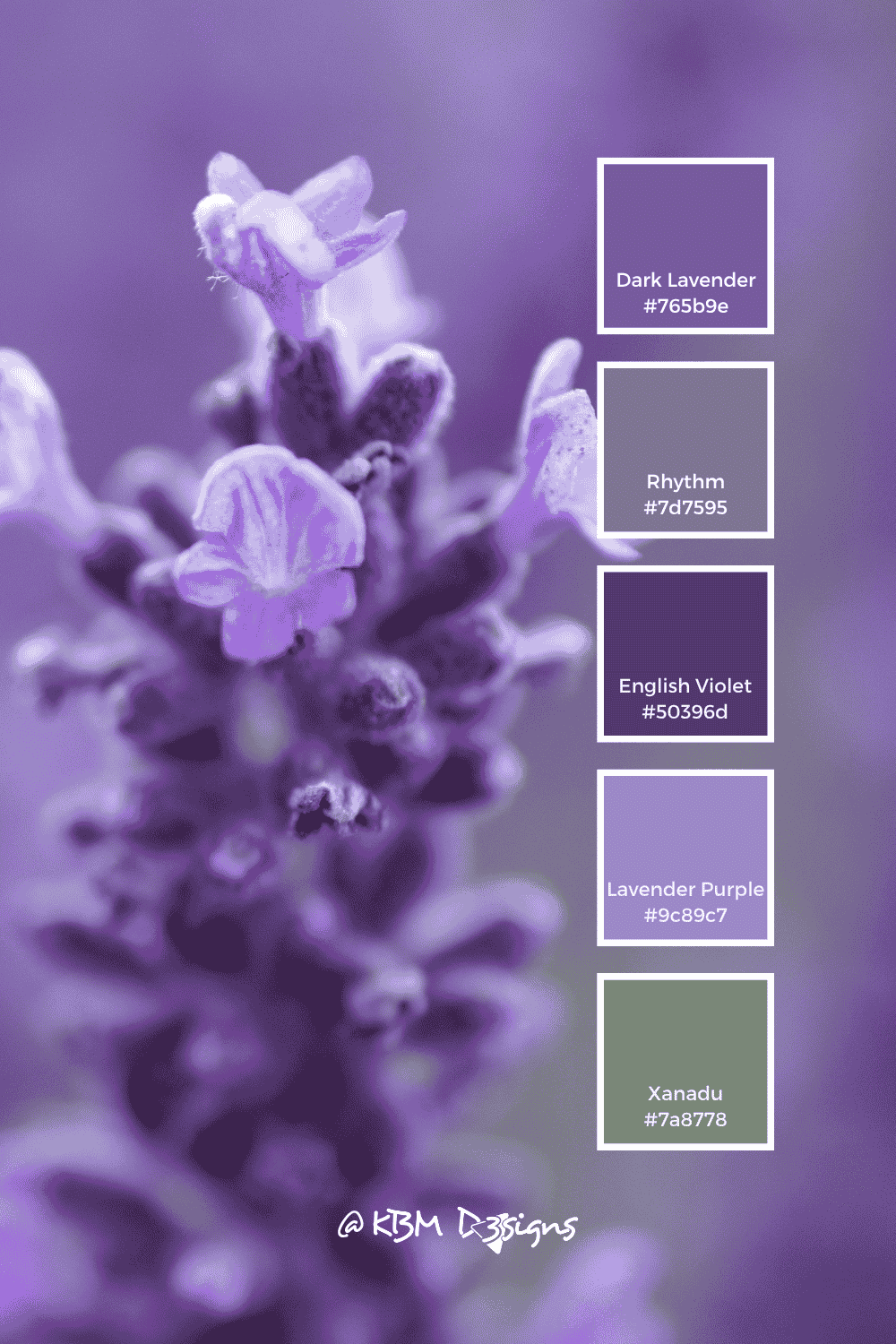 Lavender close-up, Purple Color Palette with five hues and their #Hex codes: Dark Lavender #765b9e, Rhythm #7d7595, English Violet #50396d, Lavender Purple #9c89c7, Xanadu #7a8778