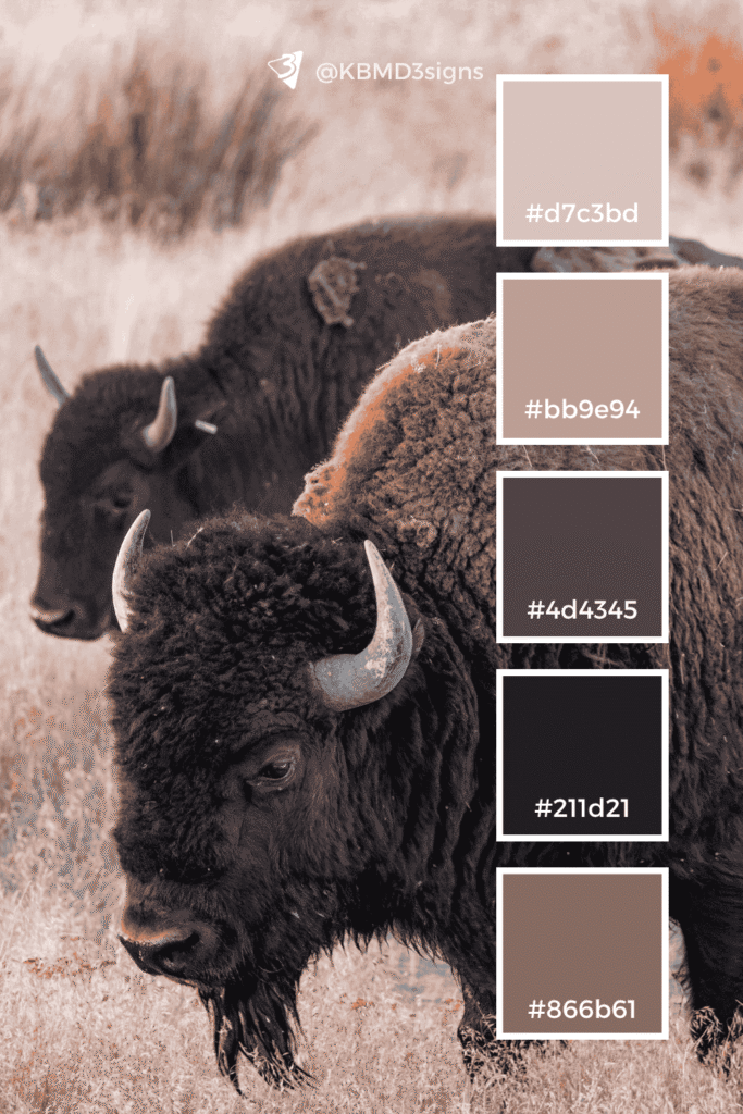 Bison, Brown Color Palette with #Hex Codes