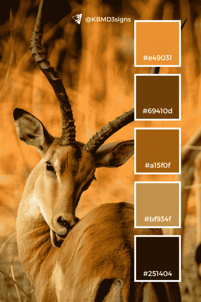 Gazelle-Inspired, Warming Golden Brown Color Palette: