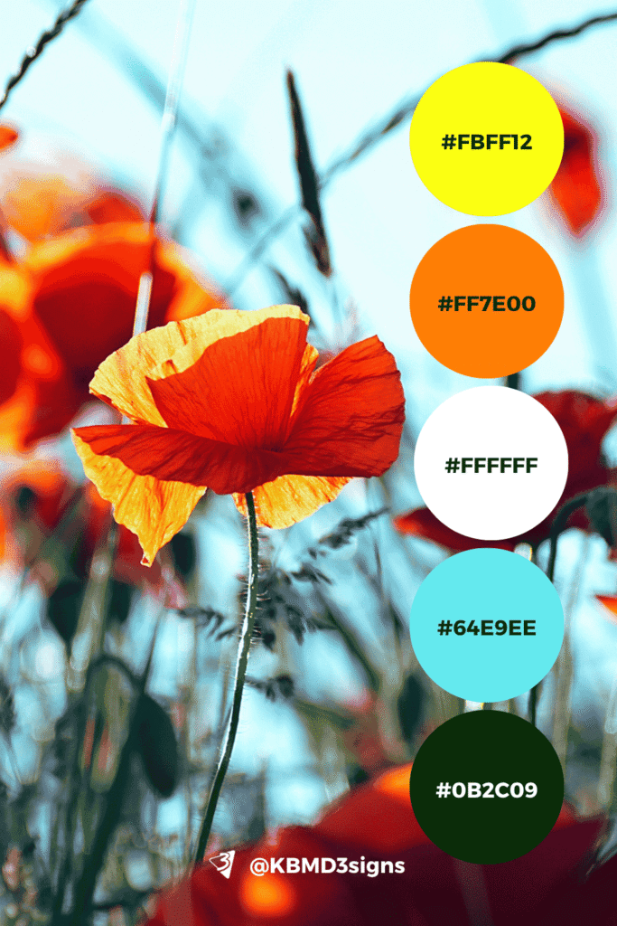With shades of dark green (#0B2C09), electric blue (#64E9EE), white (#FFFFFF), orange (#FF7E00), and yellow (#FBFF12), this palette highlights contrast and energy. It is ideal for lawn care business cards  seeking a striking, modern, and dynamic look.