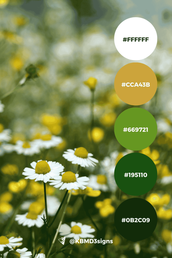 Wildflower Field Palette reflects freshness and vitality in lawn care business cards, perfect for a brand focused on vibrant, healthy landscapes, Dark Green #0B2C09, Green #195110, Avocado #669721, Satin sheen gold #CCA43B, White #FFFFFF