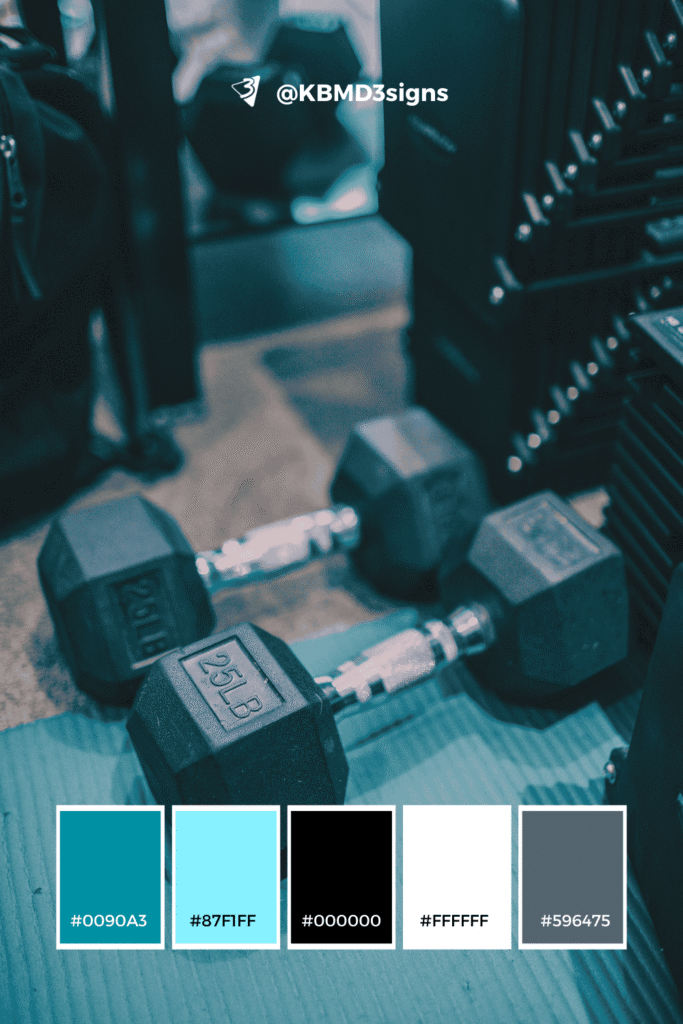 Energetic Blue Palette, Black (#000000), Electric Blue (#87f1ff)