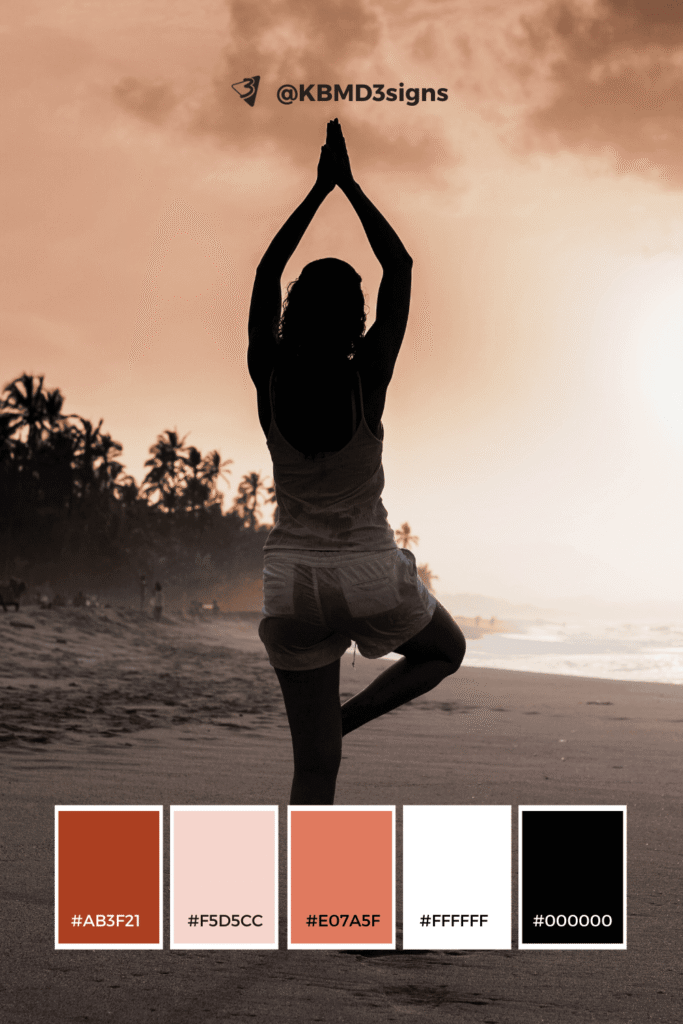 Warm Wellness Palette (White/Rust/Black): Colors: White (#ffffff), Warm Accent (#e07a5f), Black (#000000)